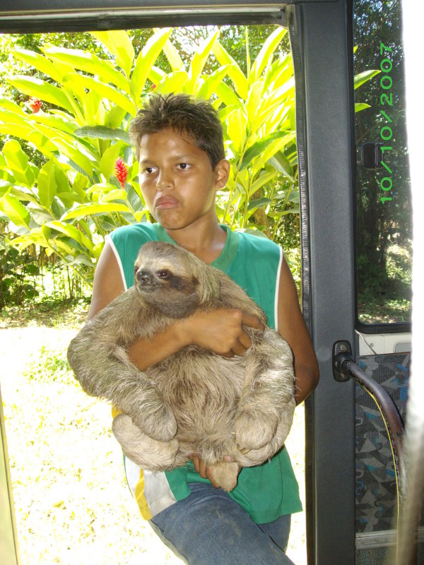 Tico kid with sloth