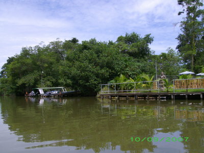Rainforest canals