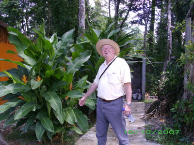 Dave in the plantation