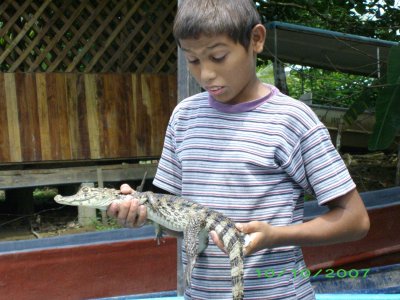 Tico kid with baby crocodile