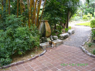 Hemingway cat urinal at the Hemingway house-- Key West