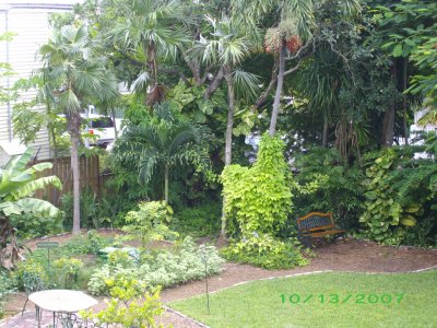 Gardens in Key West