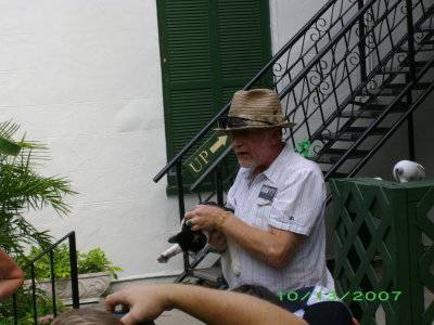 Hemingway guide with cat