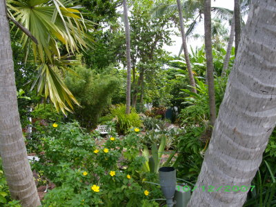 Hemingway gardens