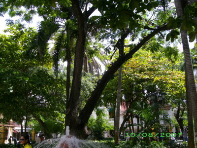 g6/61/803461/3/87490335.ehy714U7.jpg