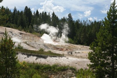 IMG_1924.jpg