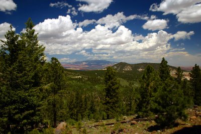 IMG_1708.JPG