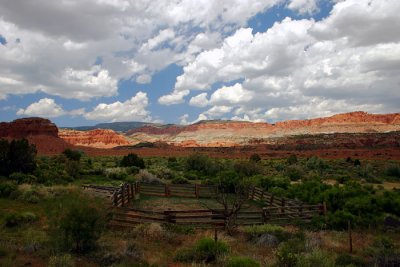 IMG_1711.JPG