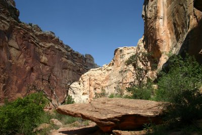 IMG_1780.JPG