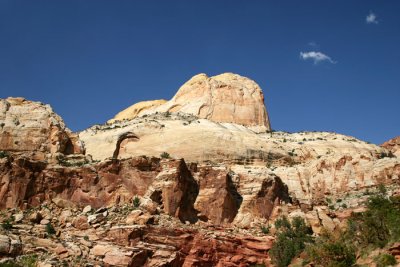IMG_1784.JPG