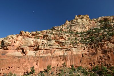 IMG_1828.JPG