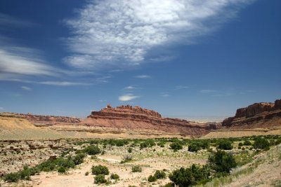 IMG_2049.JPG