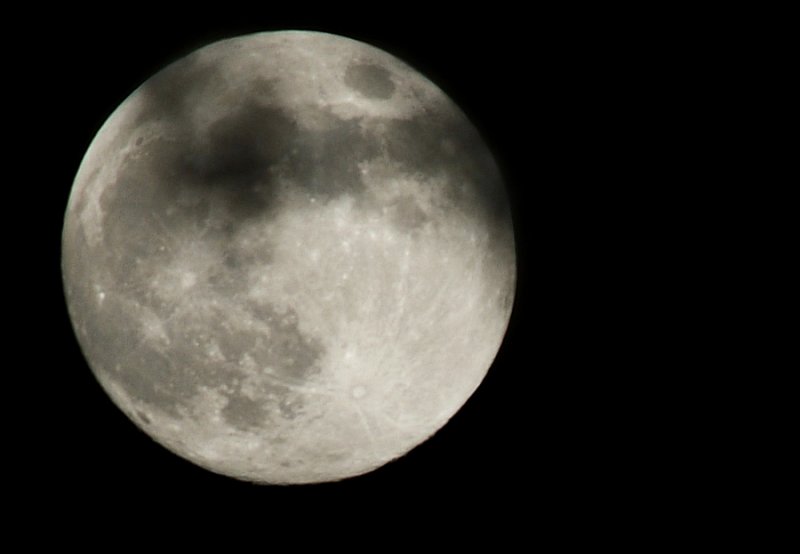 moon with leaf shadows