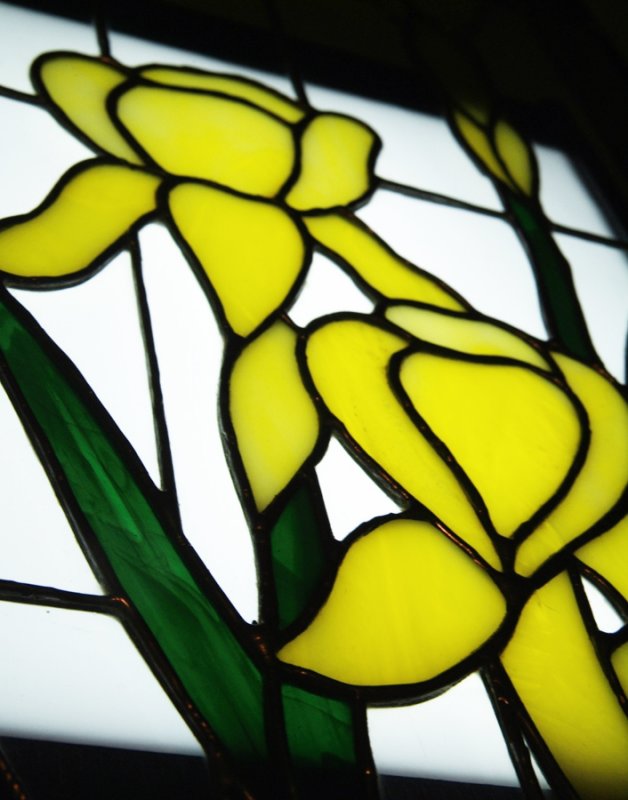 glass iris