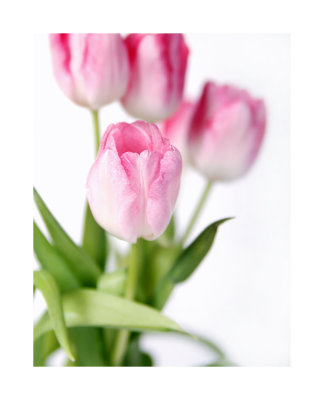 pink!