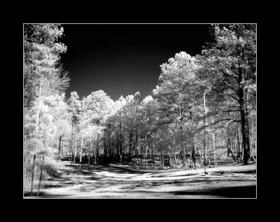 IR park