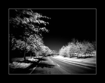 leaving