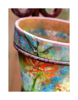 waitig for spring flowers