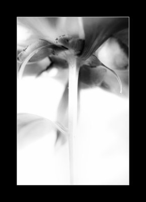 underworld