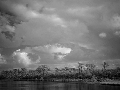 spruce creek