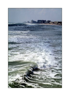 daytona surf
