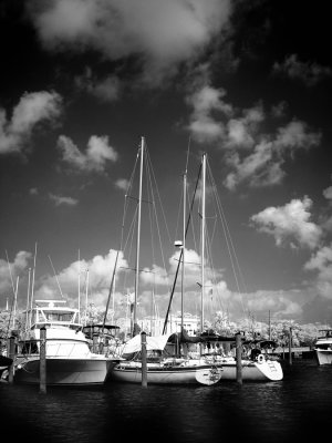 marina