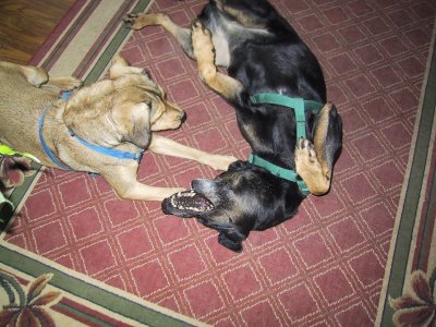 Oneone and Cele Playing