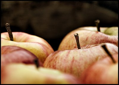CRW_1804-apples1.jpg