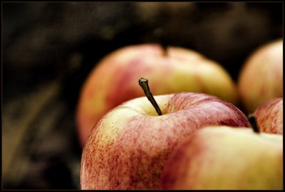 CRW_1806-apples2.jpg