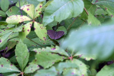 IMG_3395AB.jpg