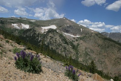 IMG_4268L.jpg