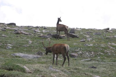 IMG_4298W.jpg
