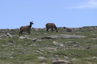 IMG_4299X.jpg