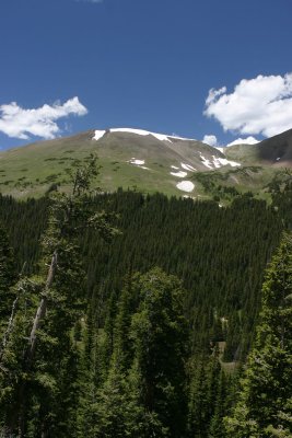 IMG_4306AB.jpg