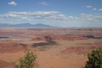 IMG_4611AN.jpg