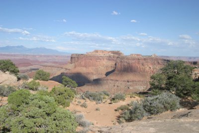 IMG_4642BD.jpg