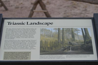 IMG_5616AC.jpg