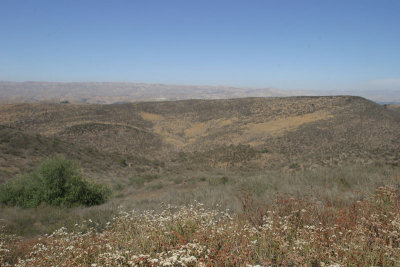 IMG_5844AD.jpg