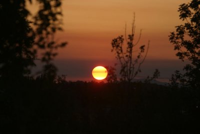 IMG_6738CG.jpg