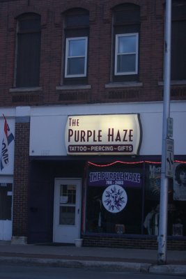 Purple Haze (IMG_8746BC.jpg)