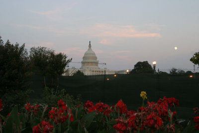 US Capitol, Washington, D.C. (IMG_0471BA.jpg)