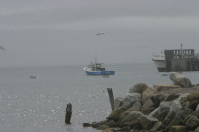 IMG_0914X.jpg
