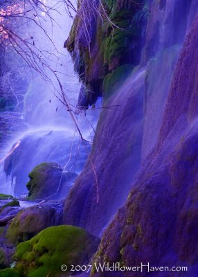 Gorman Falls - Colorado Bend State Park, TX