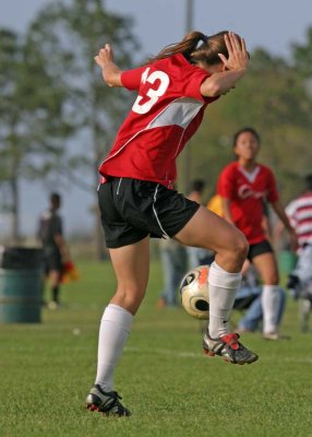 IMG_8555.jpg