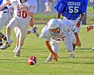 IMG_3004.jpg