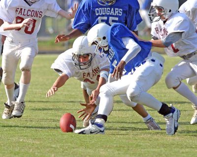 IMG_3005.jpg