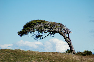 Rio Verde, Punta Arenas, Chile