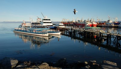 Puerto de Ushuaia, Argentina