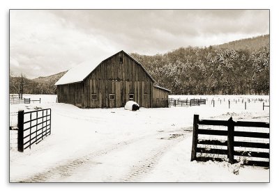 03.04.07 Winter Barn