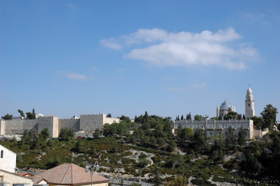 DSC_4542-1.jpg